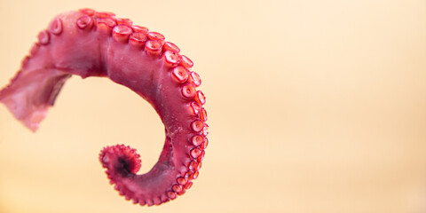 octopus claw fresh seafood sea ​​reptiles portion meal snack on the table copy space food background rustic 