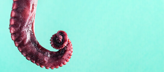 octopus claw fresh seafood sea ​​reptiles portion meal snack on the table copy space food background rustic  © Alesia Berlezova