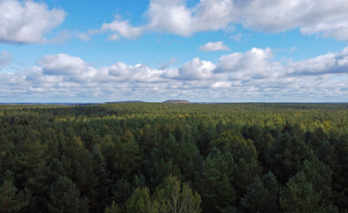 Fototapeta premium Top view of beautiful green coniferous forest with blue sky during day