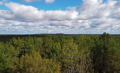 Fototapeta na wymiar Top view of beautiful green coniferous forest with blue sky during day