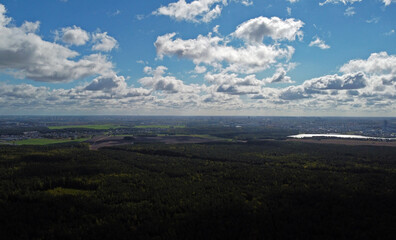 Fototapeta premium Top view of beautiful green coniferous forest with fir trees and pines