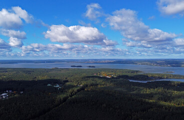 Fototapeta na wymiar Top view of a beautiful green coniferous forest with a blue lake on the horizon