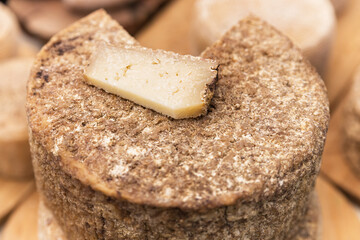 Several wheels of craft cheese at the market stall, different sorts of artisan cheese, a piece of cheese on the wheel, cheese are produced by farmers, food for breakfast and picnic
