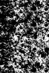 Grunge background black and white