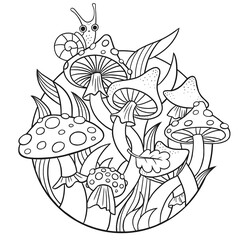 Mushrooms. Black and white  illustration, coloring page. Amanita and a pale toadstool. Snail