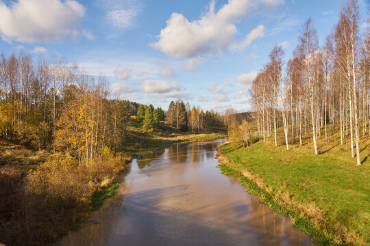 Halikko river with birch trees on the side and blue sky on the background.