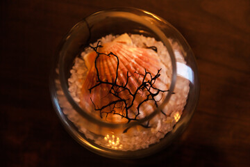 Sea stones, shell and sprig of black fan coral in a transparent glass, top view.