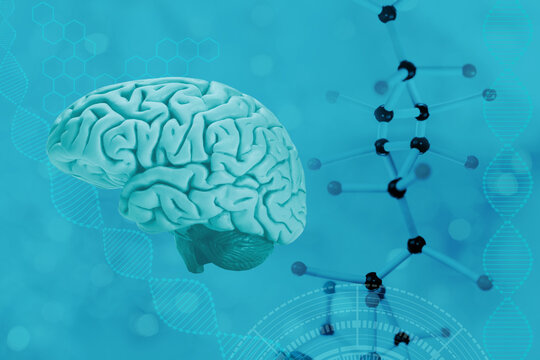 human brain model, deoxyribonucleic acid, molecular compounds on a blue blurred background, study of the human genome, concept scientific chemical innovation, iq test