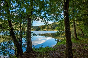 Der idyllische Marbach-Stausee bei Hüttental im Odenwaldkreis in Herbstfarben wurde 1982 fertiggestellt. Er liegt 265 m über NN, Länge von 1300m ist das größte Stillgewässer des Odenwaldes