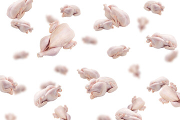 Falling raw chicken, isolated on white background, selective focus