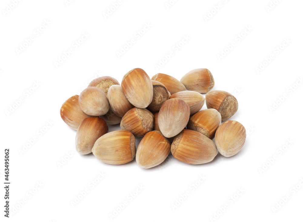 Poster pile of hazelnuts in shell on white isolated background