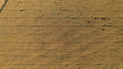 Aerial photography of a agricultural field in autumn, top view. Natural background, texture