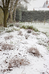 Garden flowerbed covered in snow, UK winter