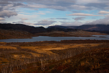 Hiking in Swedish Lapland between Vassijaure and Riksgransen, early October.