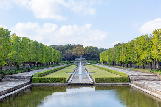 autumn scenery of showa kinen park in tachikawa city, tokyo
