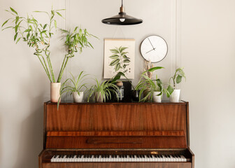 Piano with different plants in a cozy room interior.
