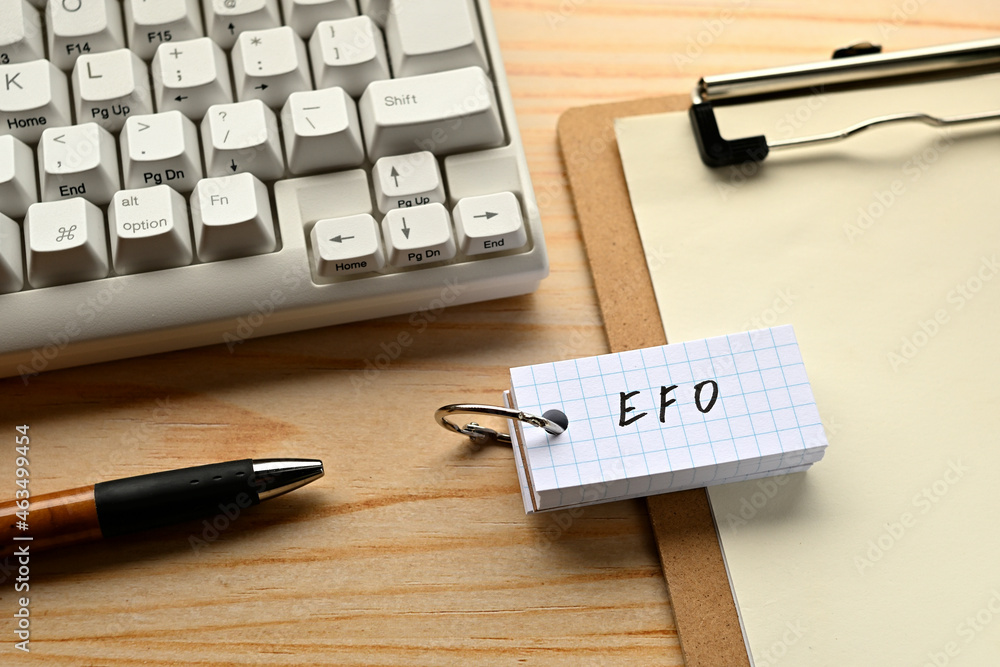 Poster there is a word book with the word of efo which is an abbreviation for entry form optimization on th