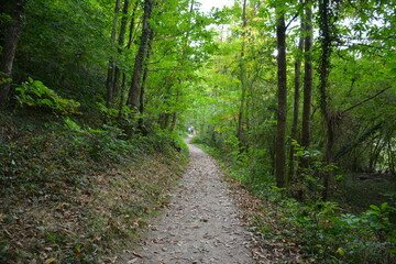Fototapeta na wymiar Sautron - Vallée du Cens - Chemin de randonnée