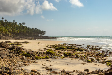 Fototapeta na wymiar Jeribucaçu beach, in Itacaré, Bahia - Brazil. Beautiful landscape with rocks and coconut trees