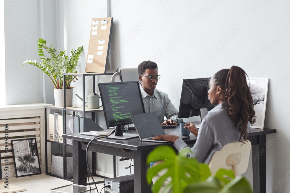 Wall mural portrait of two african-american young people using computers and writing code while working at desk