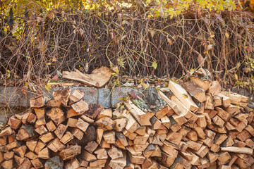 A pile of firewood stacked against the wall. Chopped wooden logs neatly stacked.