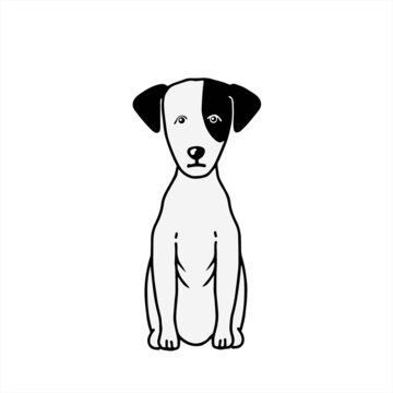 Jack Rassel