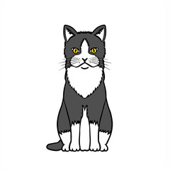 Black & White Cat　色黒猫