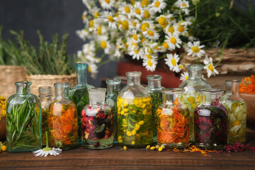 Bottles of essential oil or infusion of medicinal herbs and berries - rosemary, calendula, tansy,...