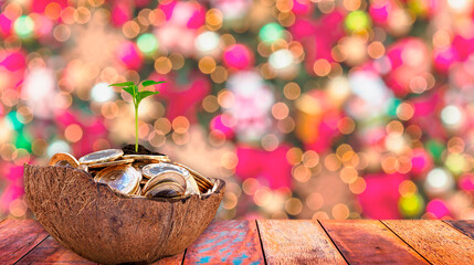 Christmas theme with blurred colorful background and wooden rustic table with half coconut shell with coins.