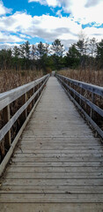 wooden bridge over river