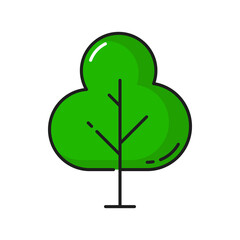 Forest and garden decor element, green exotic tree isolated outline icon. Vector spring or summer forest tree, park or garden scenery line art. Environment protection landscape architecture object