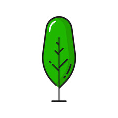 Cartoon garden tree isolated green linear park or forest plant outline icon. Vector green landscape architecture element, scenery decor. Spring summer season botany wood, save ecology, care of nature