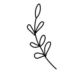 Hand drawn vector doodle illustration, abstract handwriting. Scribbled shape of a twig with leaves