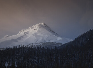 Snow Cap Top Mt Hood