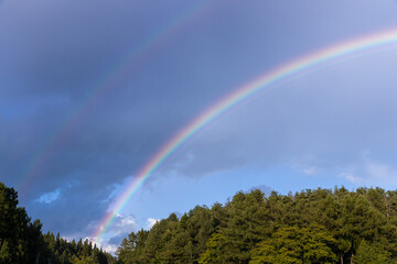 森の上に架かる二重の虹