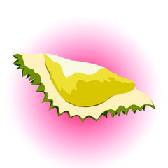 Vector illustration of a piece durian.