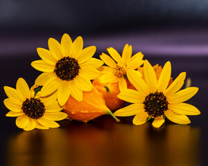 Yellow fall colors flowers and gourd