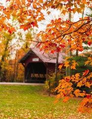Vermont fall foliage