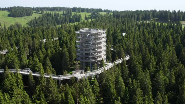Treetop Walk Observatory, Pohorje, Rogla, Slovenia, Europe - Popular Travel Destination - aerial drone shot