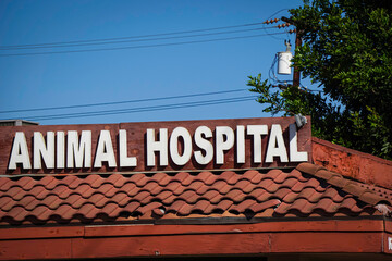 Animal hospital and veterinarian sign
