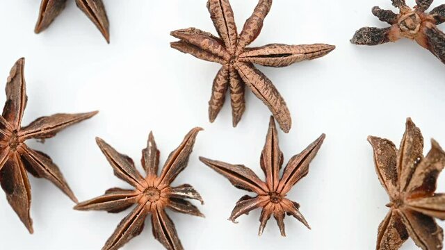 top view herb BaJiaoHuiXiang or Anisi Stellati Fructus or Truestar Anise rotating