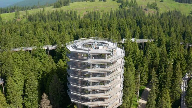 Pohorje Treetop Walkway At The Middle Of Lush Green Forest In Rogla, Slovenia. aerial