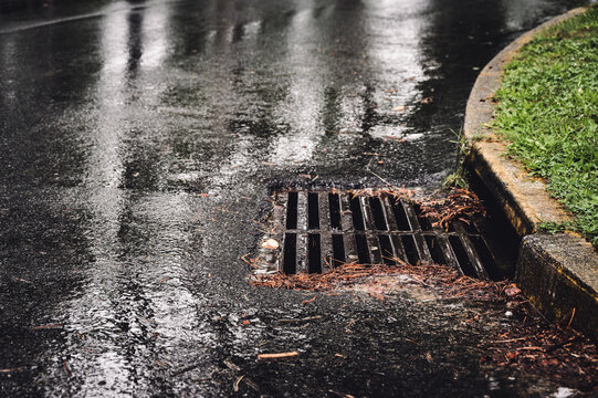Metal storm drain during a rain event with leaves and needles starting to buildup around the edges