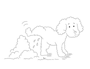 little poodle dog raising his leg and peeing in a bush, outline black and white coloring page. you can print it on standard 8.5x11 inch paper
