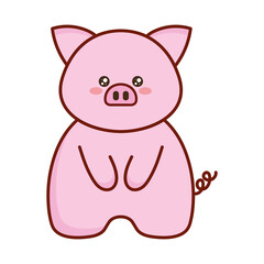 cute little kawaii pig