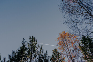 the plane flies in the sky against the background of trees