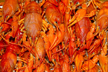 Boiled cancer lies like a mountain on top of each other.