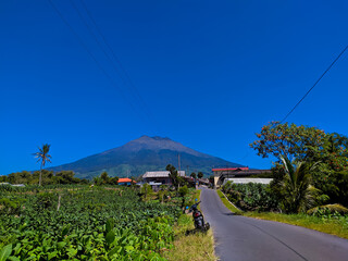 mountain road in the mountains