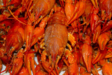 Boiled cancer lies like a mountain on top of each other.