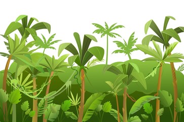 Jungle background. Plants rainforest. Beautiful green landscape with exotic trees and palms. Grass and lianas. Cute cartoon style. Isolated on white background. Vector.